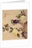 One of series of paintings of birds and fruit, late 19th century by Guochen Wang
