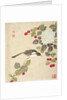 One of a series of paintings of birds and fruit, late 19th century by Guochen Wang