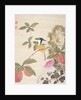 One of a series of paintings of birds and fruit, late 19th century by Guochen Wang