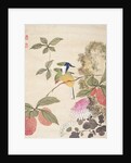 One of a series of paintings of birds and fruit, late 19th century by Guochen Wang