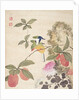 One of a series of paintings of birds and fruit, late 19th century by Guochen Wang