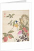 One of a series of paintings of birds and fruit, late 19th century by Guochen Wang