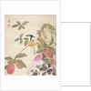 One of a series of paintings of birds and fruit, late 19th century by Guochen Wang
