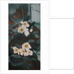 Christmas Roses by Valerie Daniel