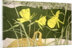 Daffodils by Valerie Daniel