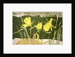 Daffodils by Valerie Daniel
