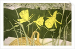 Daffodils by Valerie Daniel