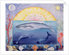 Whales by Vivika Alexander