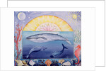 Whales by Vivika Alexander