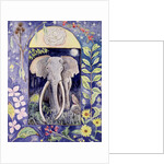 Ahmed by Vivika Alexander