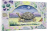 Giant Tortoise by Vivika Alexander