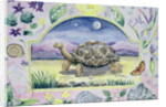 Giant Tortoise by Vivika Alexander