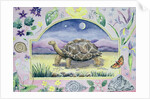 Giant Tortoise by Vivika Alexander