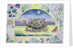 Giant Tortoise by Vivika Alexander