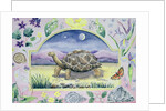 Giant Tortoise by Vivika Alexander