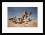 A Halt in the Desert, 1867 by William Snr. Luker
