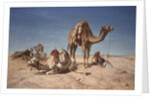 A Halt in the Desert, 1867 by William Snr. Luker