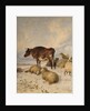 Cows and Sheep in Snowscape, 1864 by Thomas Sidney Cooper