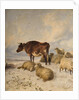 Cows and Sheep in Snowscape, 1864 by Thomas Sidney Cooper