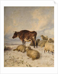 Cows and Sheep in Snowscape, 1864 by Thomas Sidney Cooper