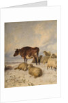 Cows and Sheep in Snowscape, 1864 by Thomas Sidney Cooper