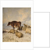 Cows and Sheep in Snowscape, 1864 by Thomas Sidney Cooper