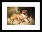 Materfamilias by Alfred William Strutt