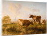In the Canterbury Meadows, 1863 by Thomas Sidney Cooper