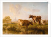 In the Canterbury Meadows, 1863 by Thomas Sidney Cooper