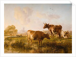 In the Canterbury Meadows, 1863 by Thomas Sidney Cooper