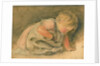 Curiosity, a Sketch by William Henry Hunt