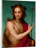 St. John the Baptist, c.1517 by Andrea del Sarto