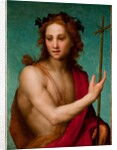 St. John the Baptist, c.1517 by Andrea del Sarto