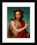 St. John the Baptist, c.1517 by Andrea del Sarto