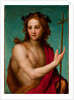 St. John the Baptist, c.1517 by Andrea del Sarto