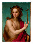 St. John the Baptist, c.1517 by Andrea del Sarto
