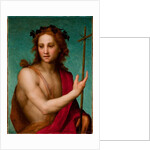 St. John the Baptist, c.1517 by Andrea del Sarto