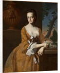 Mrs John Murray, 1763 by John Singleton Copley