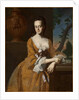Mrs John Murray, 1763 by John Singleton Copley