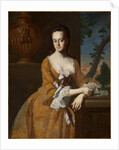 Mrs John Murray, 1763 by John Singleton Copley