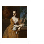 Mrs John Murray, 1763 by John Singleton Copley