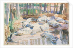 Muddy Alligators, 1917 by John Singer Sargent