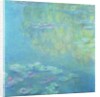 Waterlilies, 1908 by Claude Monet