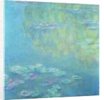 Waterlilies, 1908 by Claude Monet