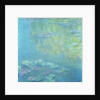 Waterlilies, 1908 by Claude Monet