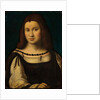 Portrait of a Lady by School Italian