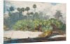 In a Florida Jungle by Winslow Homer