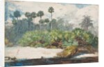 In a Florida Jungle by Winslow Homer