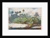 In a Florida Jungle by Winslow Homer