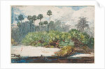 In a Florida Jungle by Winslow Homer